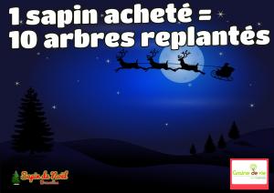 21-12-2019 14:59 - sapin nordmann belge livraison de sapin Houtain-Le-Val