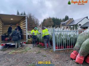26-11-2019 16:07 - sapin nordmann belge livraison de sapin Houtain-Le-Val