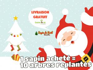 08-12-2019 09:56 - sapin nordmann belge livraison de sapin Ixelles