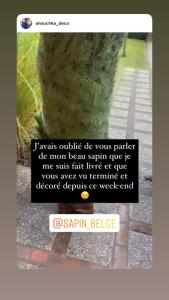 22-09-2021 02:20 - sapin nordmann belge livraison de sapin Ixelles