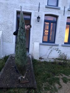 15-10-2021 12:34 - sapin nordmann belge livraison de sapin Ixelles