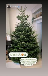 24-11-2021 08:00 - sapin nordmann belge livraison de sapin Ixelles