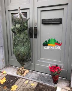 26-11-2021 14:22 - sapin nordmann belge livraison de sapin Ixelles