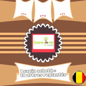 08-12-2019 09:54 - sapin nordmann belge livraison de sapin Limelette