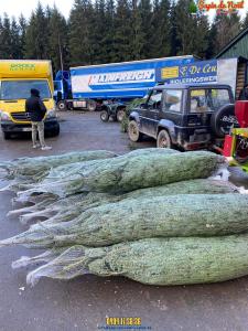 26-11-2019 16:07 - sapin nordmann belge livraison de sapin Molenbeek-St-Jean