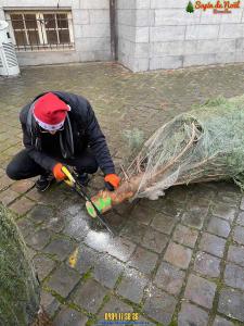 16-12-2019 09:42 - sapin nordmann belge livraison de sapin Molenbeek-St-Jean