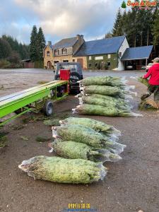 26-11-2019 16:07 - sapin nordmann belge livraison de sapin Mont-Saint-Guibert