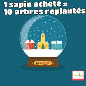 20-12-2019 07:41 - sapin nordmann belge livraison de sapin Orp-Le-Grand
