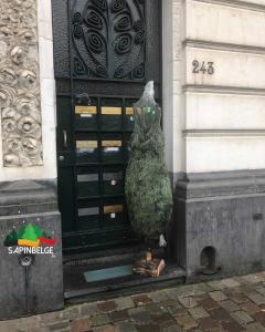 05-12-2021 21:35 - sapin nordmann belge livraison de sapin Rebecq-Rognon