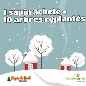 21-12-2019 14:59 - sapin nordmann belge livraison de sapin Uccle