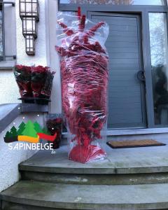 23-11-2021 12:32 - sapin nordmann belge livraison de sapin Uccle