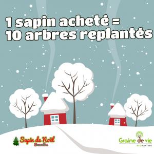 21-12-2019 14:59 - sapin nordmann belge livraison de sapin Woluwe-St-Pierre